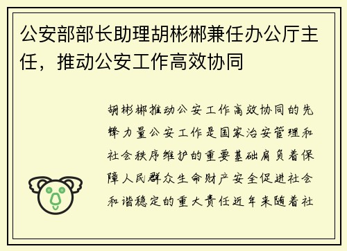 公安部部长助理胡彬郴兼任办公厅主任，推动公安工作高效协同
