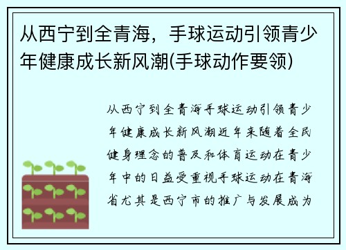 从西宁到全青海，手球运动引领青少年健康成长新风潮(手球动作要领)